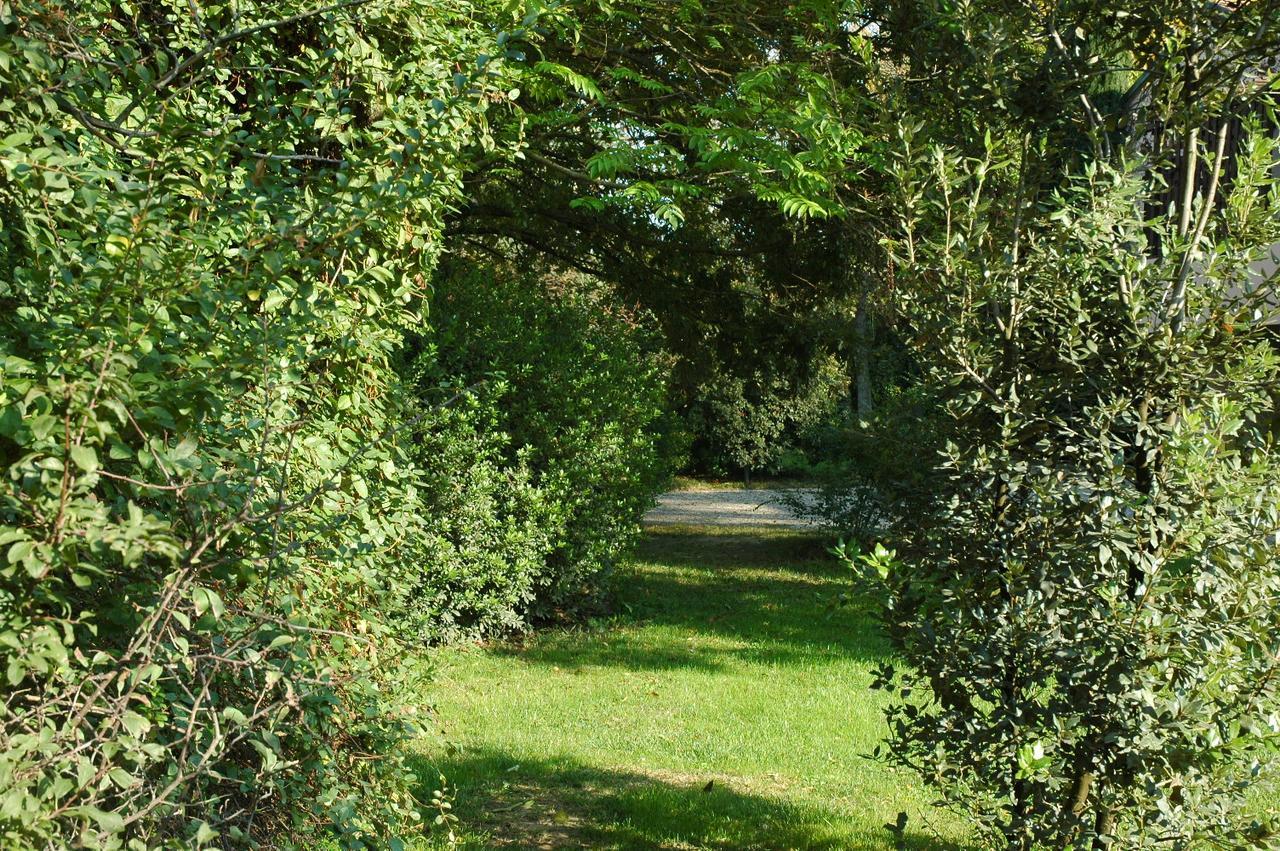 B&B Villa Dei Calchi - Suite Room Di Charme San Felice sul Panaro Exterior photo